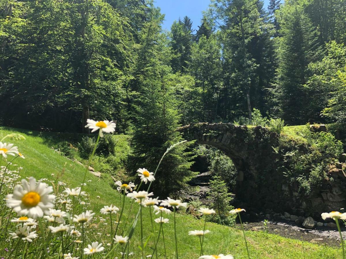 Willa Le Moulin Des Olirics Sallanches Zewnętrze zdjęcie